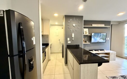 Apartamento Amoblado HORIZONTE 1505