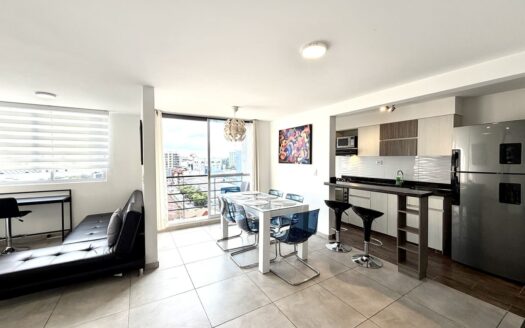 Apartamento Amoblado PAPIRO 1102