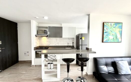 Apartamento Amoblado PAPIRO 1102D
