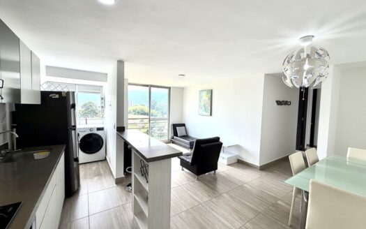 Apartamento Amoblado PAPIRO 1102D
